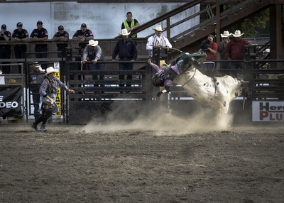 Action Bull Riding PhotographerRichard resize