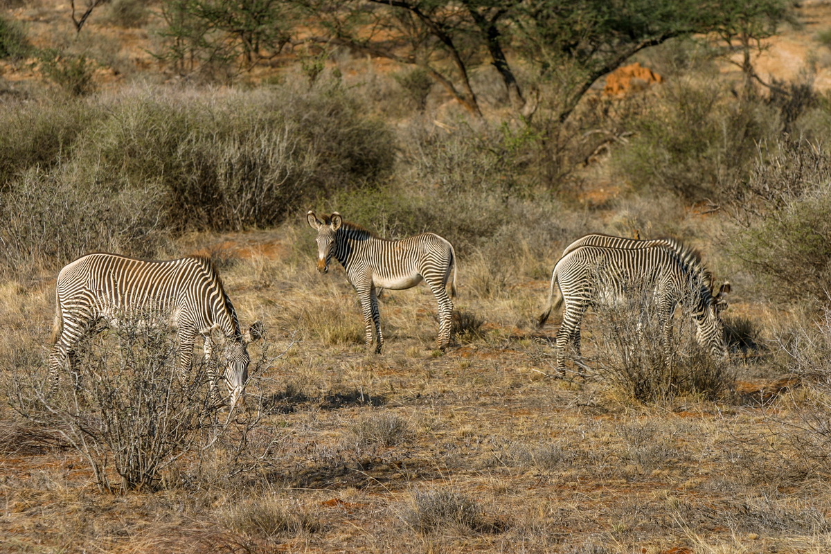 No_008-2005-10-06 RW Daniels Africa - Canon EOS_resize