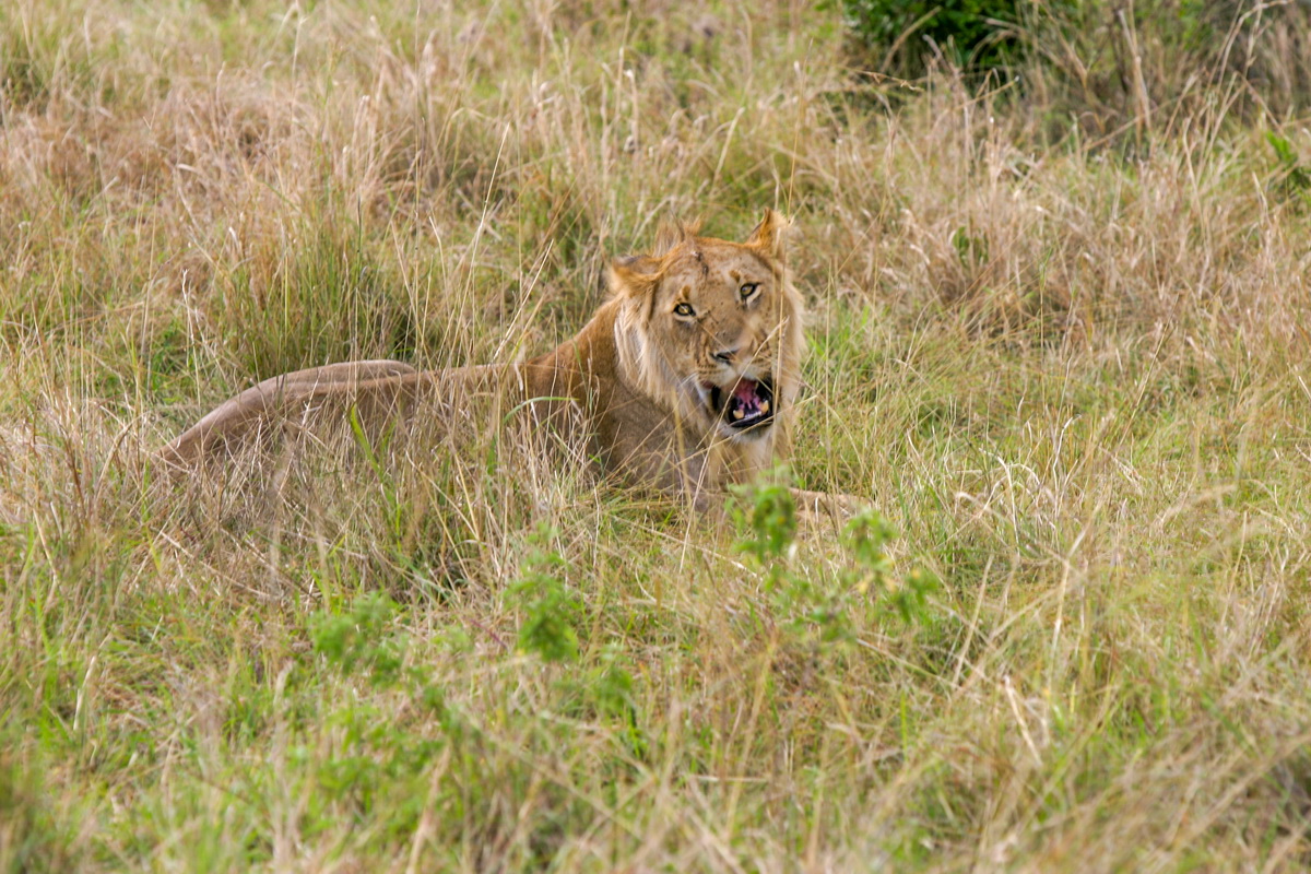 No_025-2005-10-06 RW Daniels Africa - Canon EOS_resize