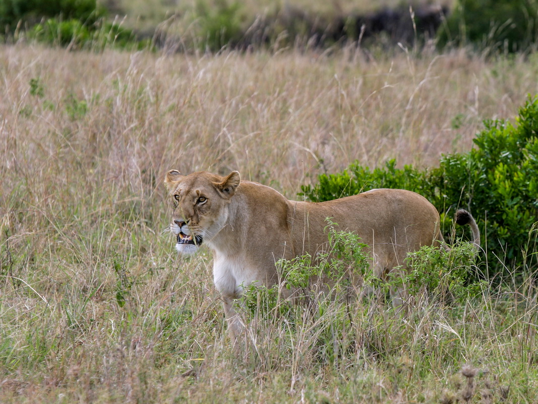 No_027-2005-10-06 RW Daniels Africa - Canon EOS_resize