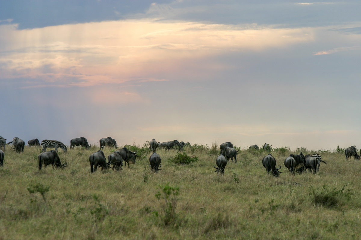 No_028-2005-10-06 RW Daniels Africa - Canon EOS_resize