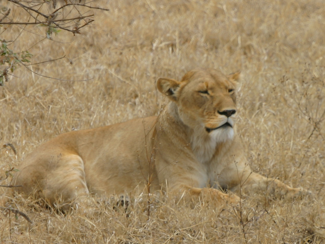 No_066-2005-10-10 RW Daniels Africa - Canon EOS_resize